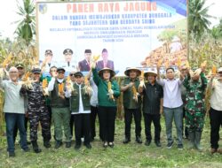Pemkab Donggala Panen 24 Ton Jagung di Batusuya Go’o